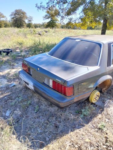 Ford-Mustang-1981-Gray-off-White-1