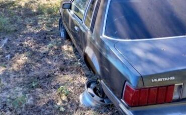 Ford-Mustang-1981-Gray-off-White-2
