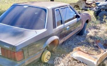 Ford-Mustang-1981-Gray-off-White-3