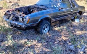 Ford-Mustang-1981-Gray-off-White