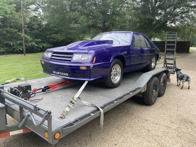 Ford-Mustang-1982-Purple-Black-1