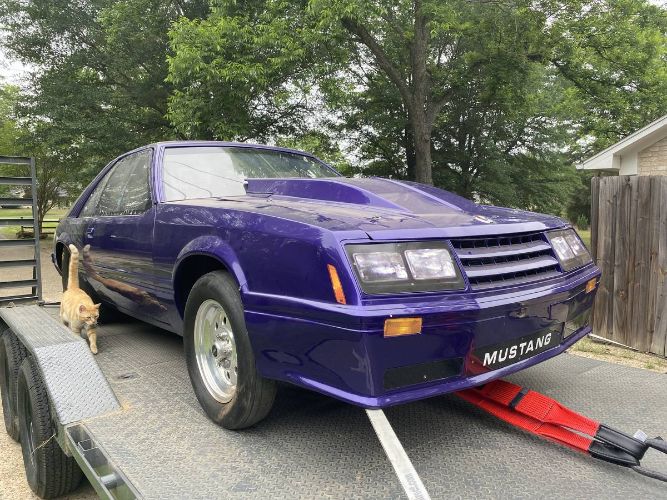 Ford-Mustang-1982-Purple-Black-13