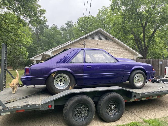 Ford-Mustang-1982-Purple-Black-16