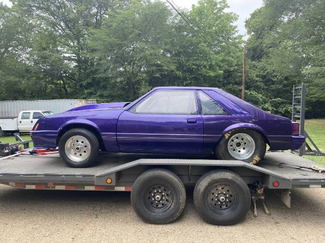 Ford-Mustang-1982-Purple-Black-18