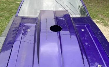 Ford-Mustang-1982-Purple-Black-5