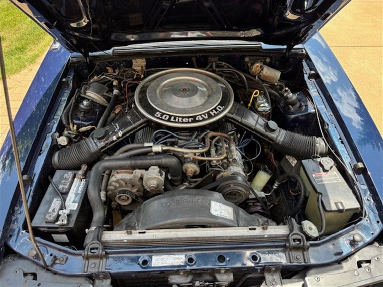 Ford-Mustang-1983-Blue-Blue-13