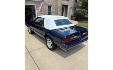 Ford-Mustang-1983-Blue-Blue-6