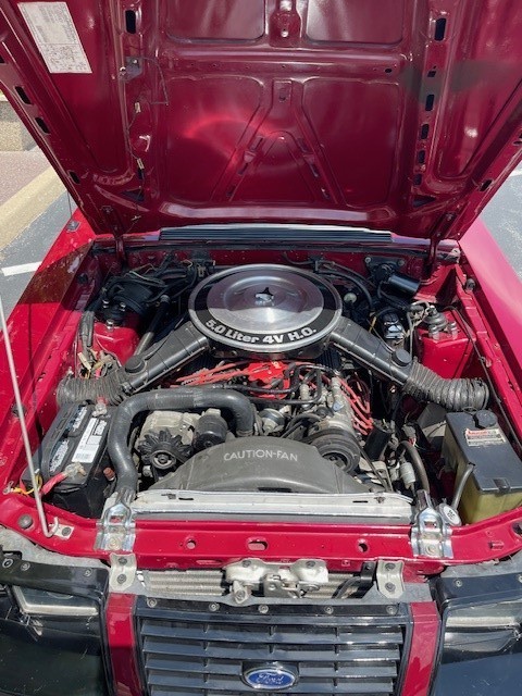 Ford-Mustang-1983-Convertible-6