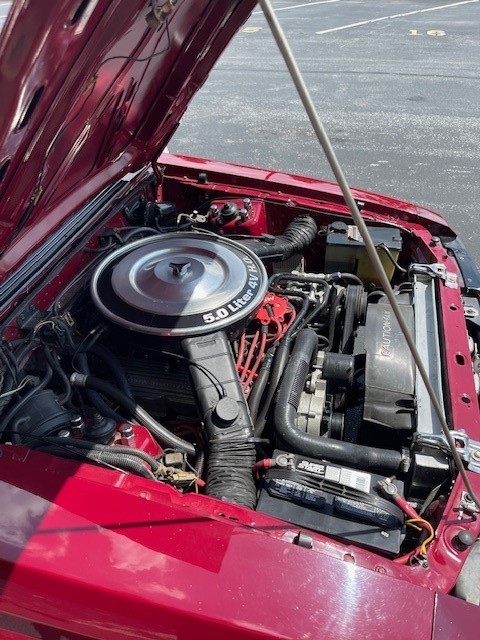 Ford-Mustang-1983-Convertible-7