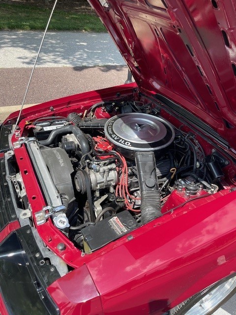 Ford-Mustang-1983-Convertible-8
