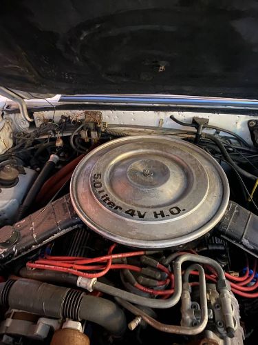 Ford-Mustang-1984-7