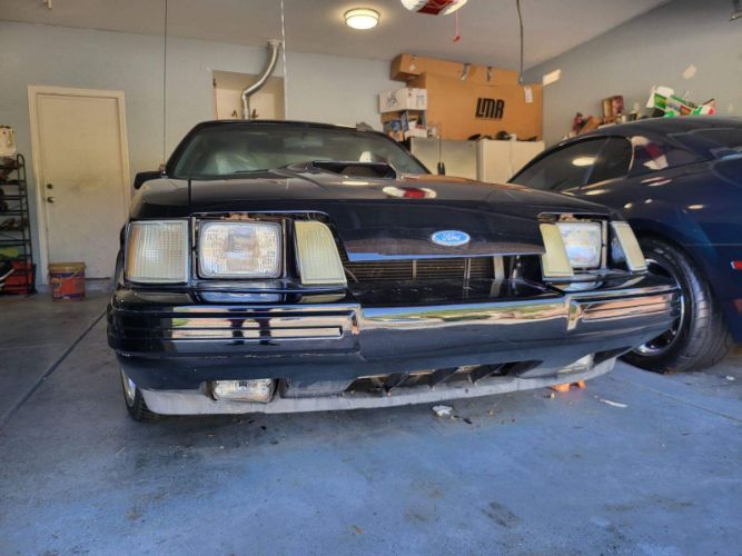 Ford-Mustang-1984-Black-Black-19