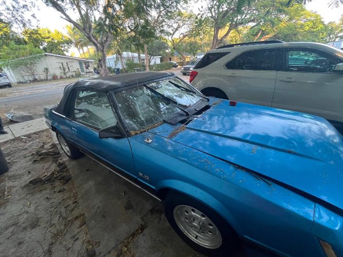 Ford-Mustang-1984-Blue-2