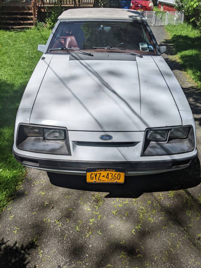 Ford-Mustang-1985-white-1