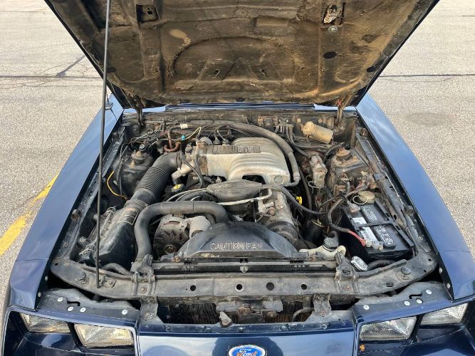 Ford-Mustang-1986-Blue-12