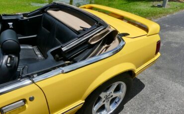 Ford-Mustang-1989-Yellow-Black-10