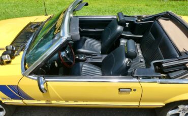 Ford-Mustang-1989-Yellow-Black-43