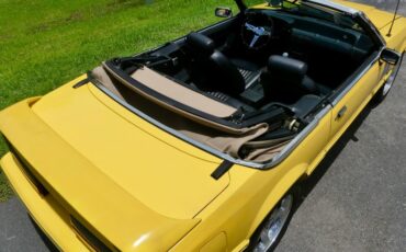 Ford-Mustang-1989-Yellow-Black-44