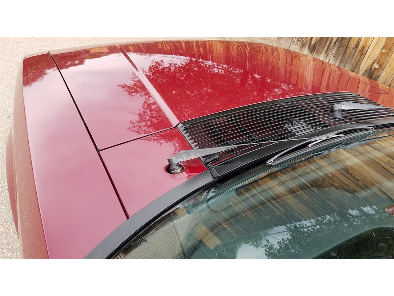 Ford-Mustang-1989-maroon-red-17