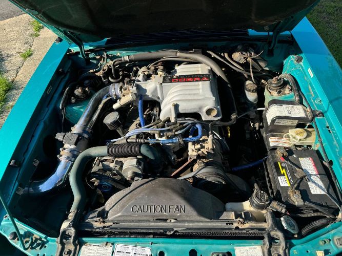 Ford-Mustang-1992-Calypso-Green-7