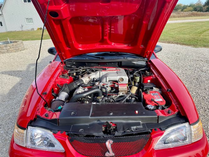 Ford-Mustang-1994-Red-Saddle-19