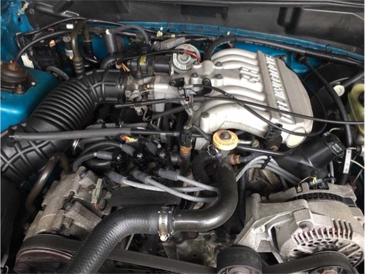 Ford-Mustang-1994-Teal-Plush-black-7