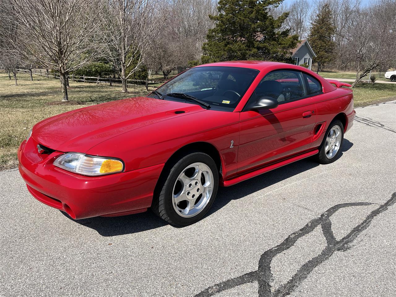 Ford-Mustang-cobra-1994-Red-Grey-1