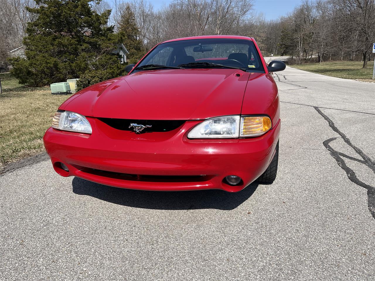 Ford-Mustang-cobra-1994-Red-Grey-3