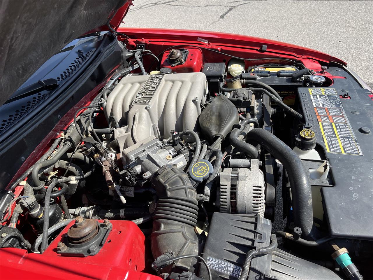 Ford-Mustang-cobra-1994-Red-Grey-47