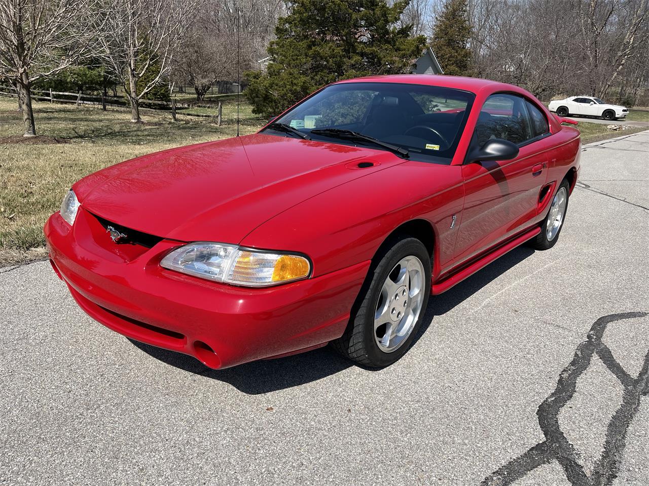 Ford-Mustang-cobra-1994-Red-Grey