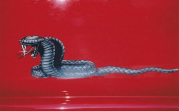 Ford-Mustang-cobra-1994-Rio-Red-Saddle-Black