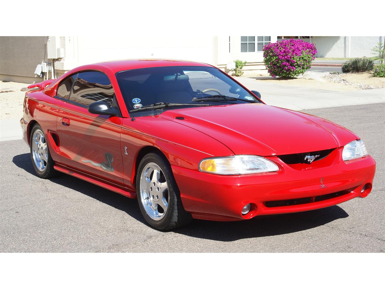 Ford-Mustang-cobra-1994-Rio-Red-Saddle-Black-5