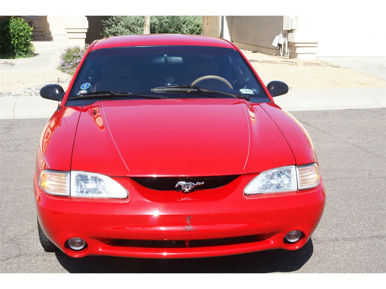 Ford-Mustang-cobra-1994-Rio-Red-Saddle-Black-6