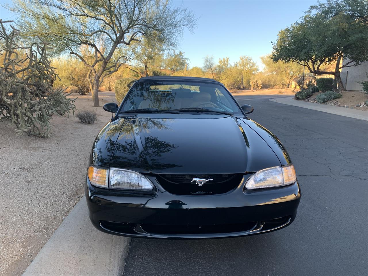 Ford-Mustang-gt-1995-Black-Tan-1