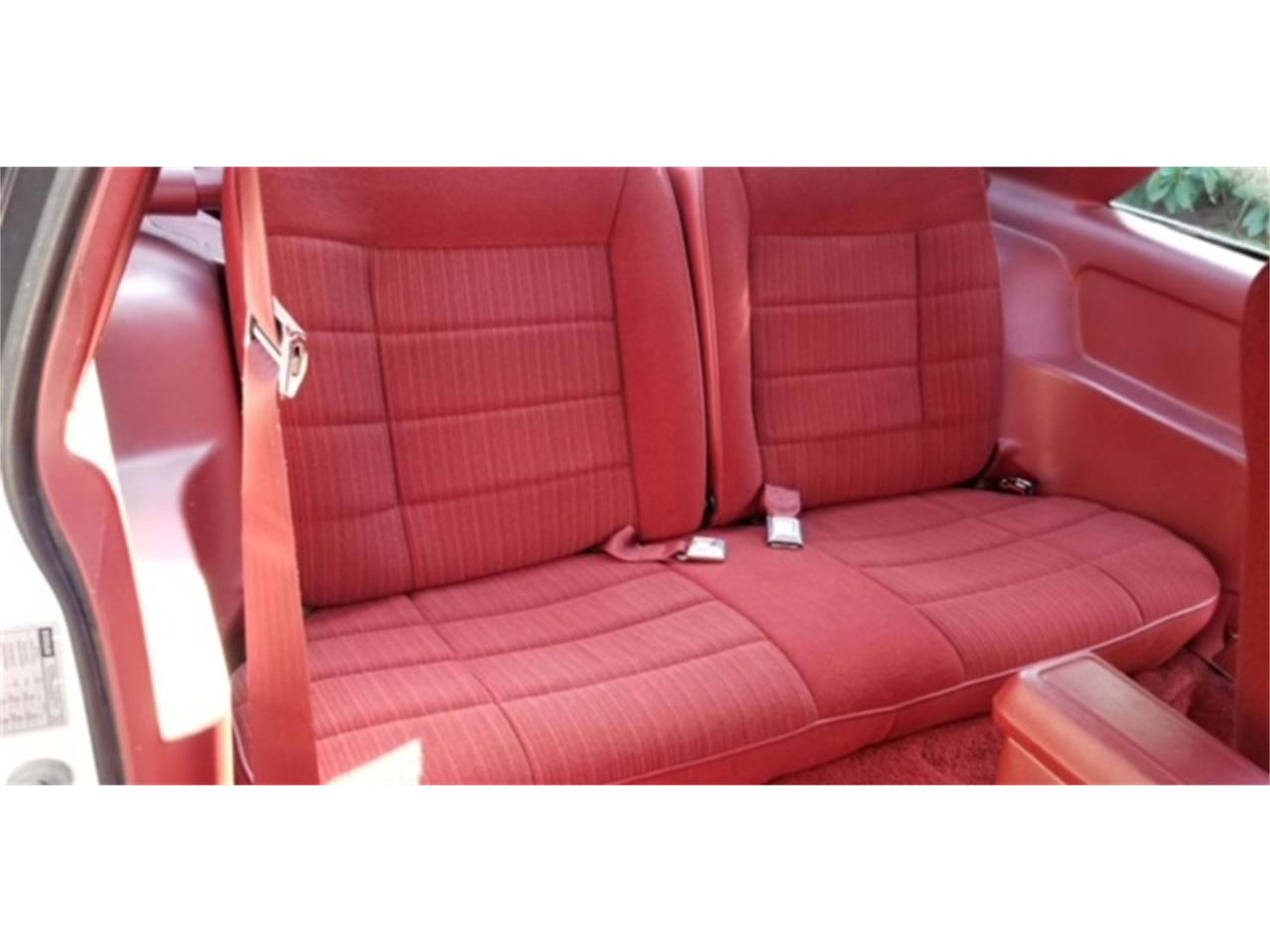 Ford-Mustang-gt350-1984-Oxford-White-Canyon-Red-11