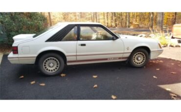 Ford-Mustang-gt350-1984-Oxford-White-Canyon-Red-3