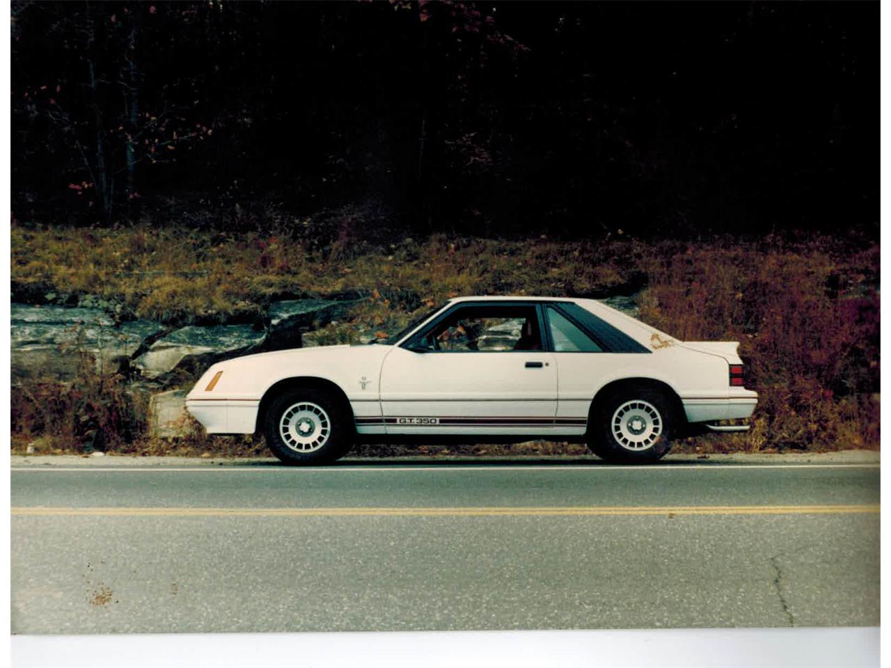 Ford-Mustang-gt350-1984-Oxford-White-Canyon-Red-5