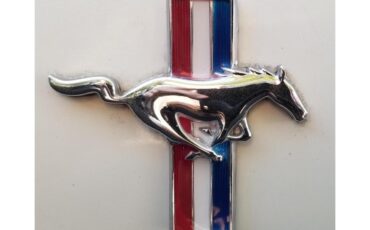 Ford-Mustang-gt350-1984-Oxford-White-Canyon-Red-6