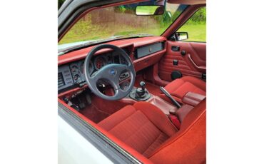 Ford-Mustang-gt350-1984-Oxford-White-Canyon-Red-7