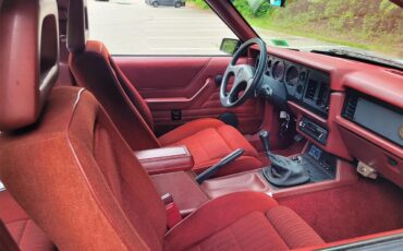 Ford-Mustang-gt350-1984-Oxford-White-Canyon-Red-8