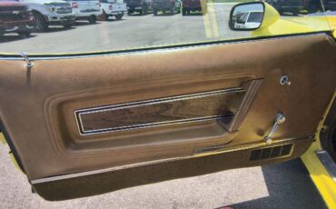 Ford-Mustang-mach-1-1972-YELLOW-TAN-17