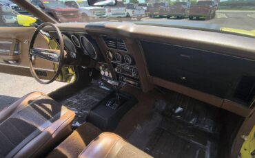 Ford-Mustang-mach-1-1972-YELLOW-TAN-18