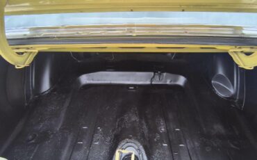 Ford-Mustang-mach-1-1972-YELLOW-TAN-9