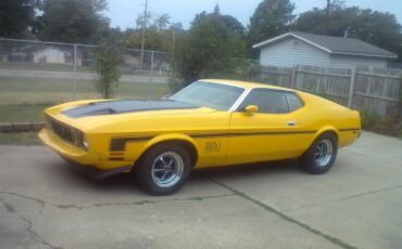 Ford-Mustang-mach-1-1973-Competition-Ford-Yel-Ginger-1