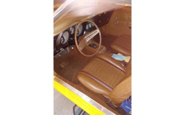 Ford-Mustang-mach-1-1973-Competition-Ford-Yel-Ginger-5