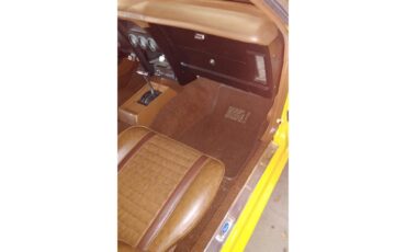 Ford-Mustang-mach-1-1973-Competition-Ford-Yel-Ginger-6