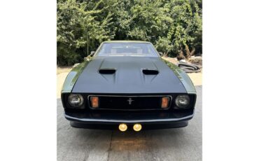 Ford-Mustang-mach-1-1973-Ivy-glow-metalic-Black-3