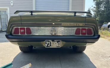 Ford-Mustang-mach-1-1973-Ivy-glow-metalic-Black-30