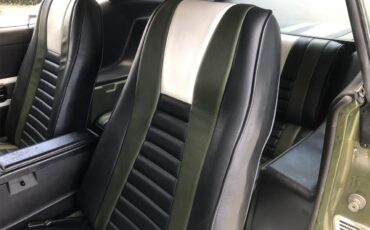 Ford-Mustang-mach-1-1973-Ivy-glow-metalic-Black-33