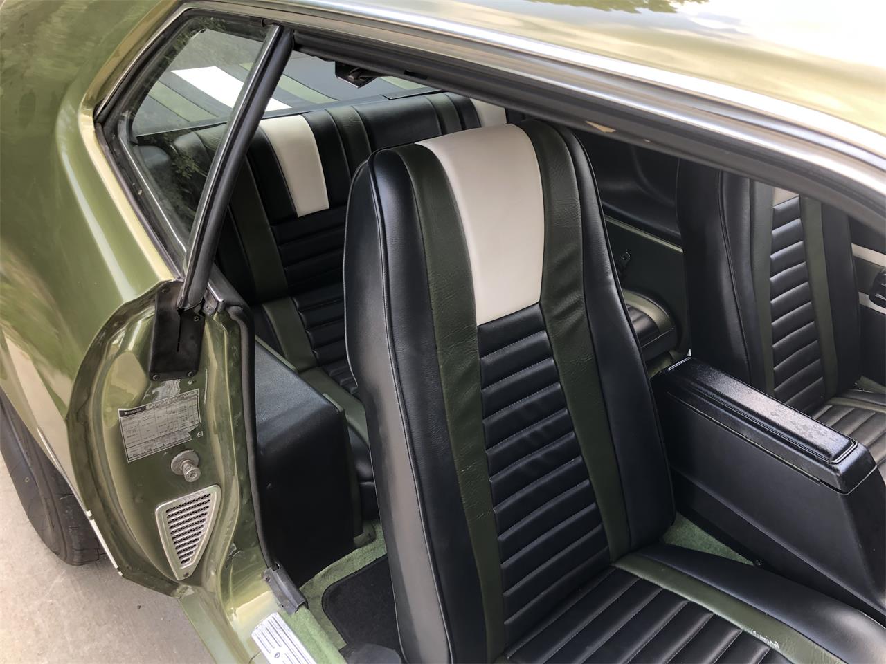 Ford-Mustang-mach-1-1973-Ivy-glow-metalic-Black-34